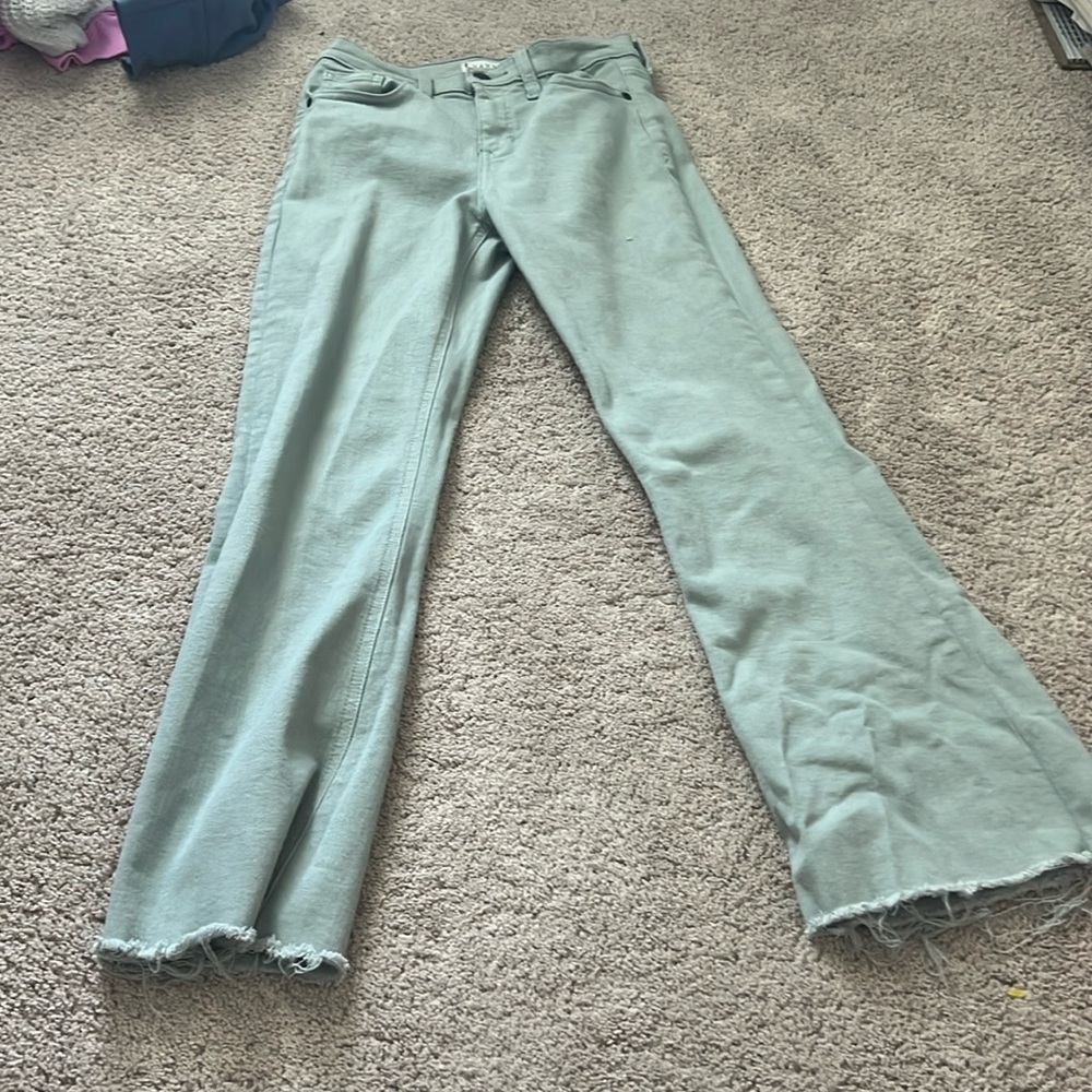 These are a cute pair of jeans! They are very pretty shade of green/ minty.